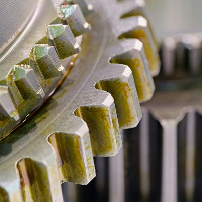 Group of pinions coated with lubricant