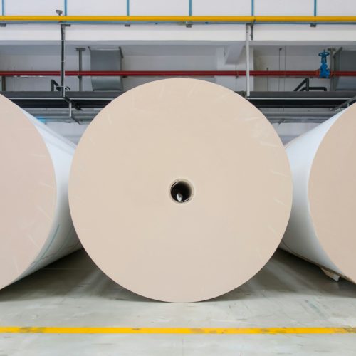 Huge white paper rolls in the factory